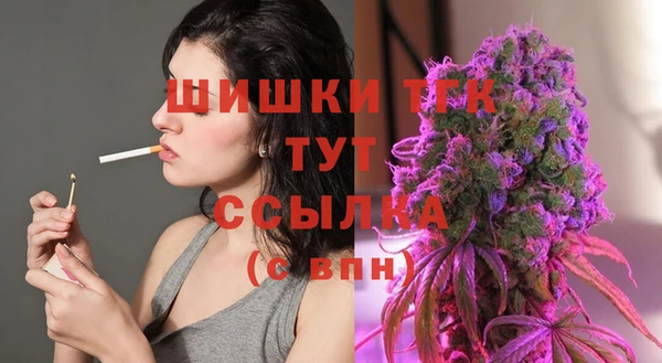 стафф Верхний Тагил