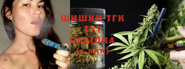 стафф Верхний Тагил