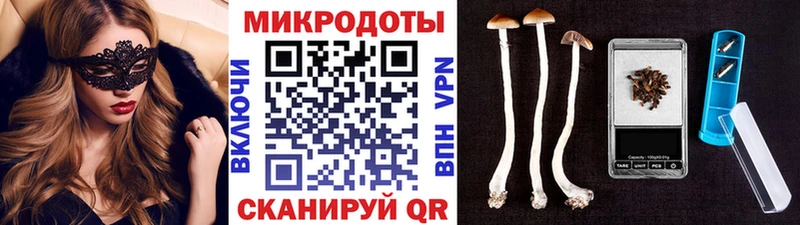 Псилоцибиновые грибы Psilocybine cubensis  где найти наркотики  Гаджиево 